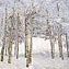Artwork title: Fresh snow (private collection). Artist: Anatoly Dashko