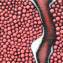 Artwork title: Pomegranate . Artist: Georgiy Makarov