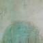 Artwork title: Venice lion (gallery collection). Author: Vladimir Grigoryan