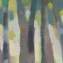 Artwork title: Elm (private collection). Author: Baimakhan Sherimov