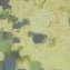 Artwork title: Mulberry (private collection). Artist: Baimakhan Sherimov