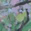 Artwork title: Spring  (private collection). Artist: Baimakhan Sherimov
