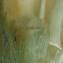 Artwork title: John the Baptist (gallery collection). Artist: Vladimir Grigoryan