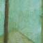 Artwork title: Rome. Fragments 4 (private collection). Artist: Vladimir Grigoryan