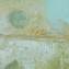 Artwork title: Rome. Fragments 1 (private collection). Artist: Vladimir Grigoryan