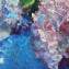 Artwork title: Lilac. Artist: Aybek Rozakov