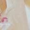 Artwork title: Cherry . Artist: Elinor Brodsky
