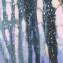 Artwork title: November morning (private collection). Author: Anara Abzhanova