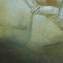 Artwork title: Jacob's dream (gallery collection). Artist: Vladimir Grigoryan