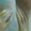 Artwork title: Prophet Samuel (gallery collection). Author: Vladimir Grigoryan