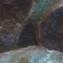 Artwork title: Pearl oyster and red cabbage leaves (private collection). Artist: Elena Beisembinova