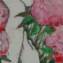 Artwork title: Angel (private coiiection). Artist: Julia Svirepova
