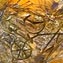 Artwork title: Petroglifs of Kazakhstan  (private collection)	. Artist: Tamara Volkova
