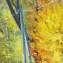 Artwork title: Autumn tram . Artist: Alexander Ermolenko