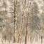 Artwork title: Winter landscape (private collection). Artist: Anatoly Dashko