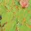 Artwork title: Green bird (from series Birds}-private collection. Author: Alexander Antadze